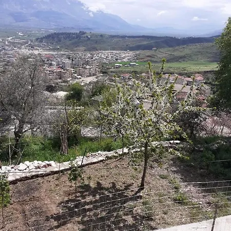 Alva